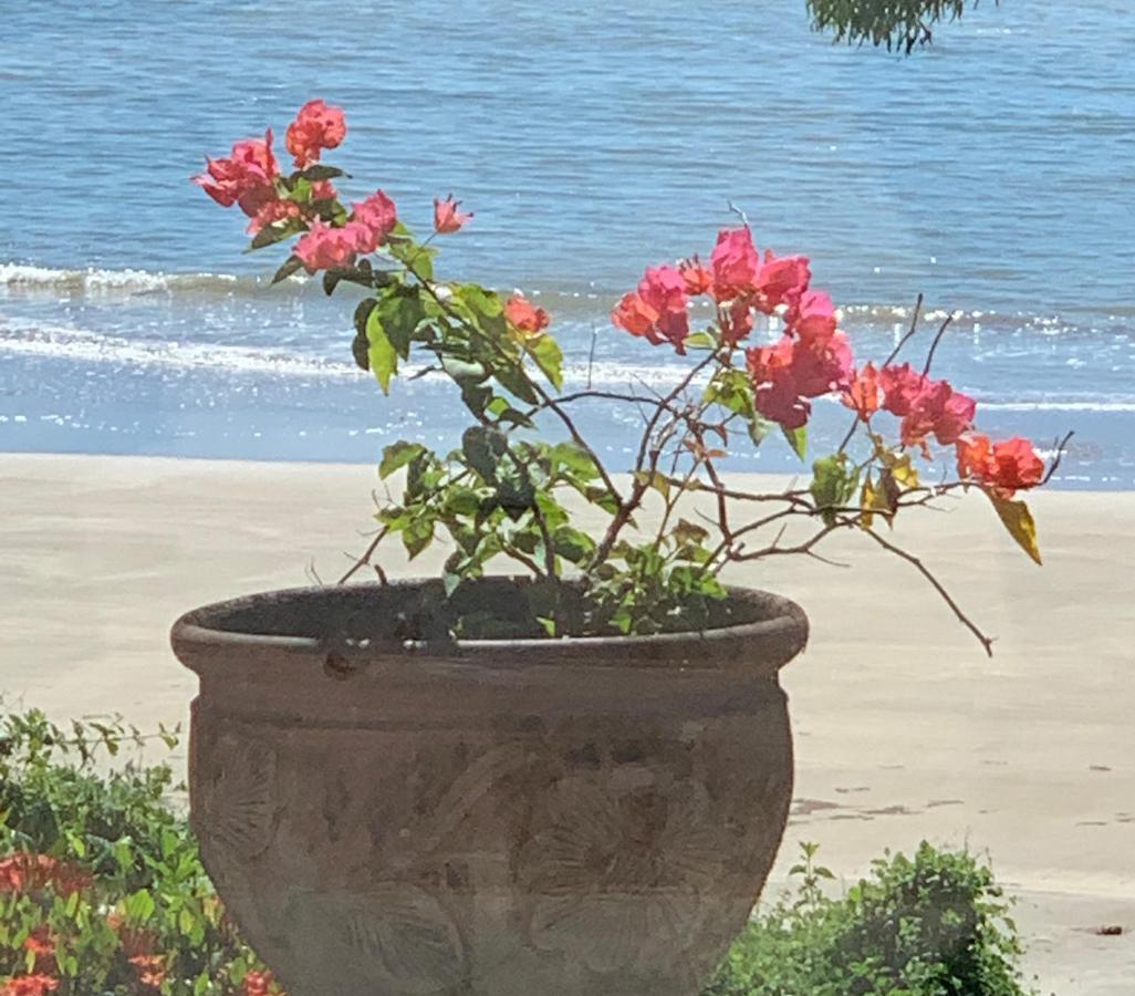 Beachfront Peace Cabin Oak Beach Εξωτερικό φωτογραφία