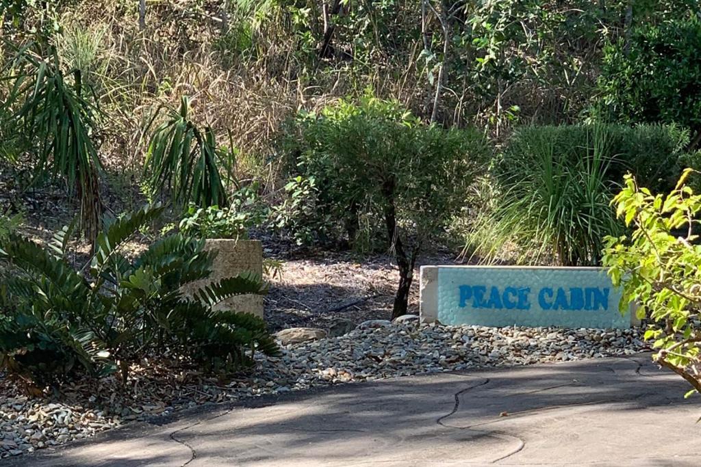 Beachfront Peace Cabin Oak Beach Εξωτερικό φωτογραφία